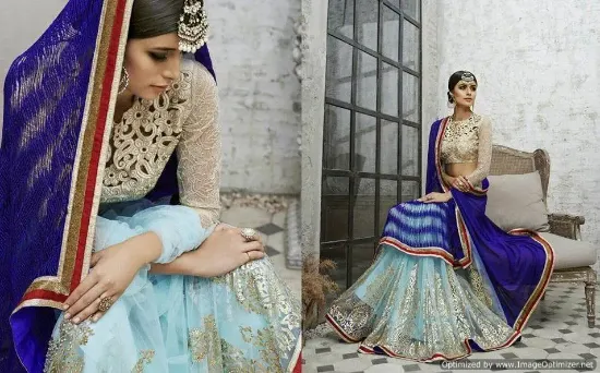 Picture of silk lehenga online usachaniya choli,choli,lehenga,bell