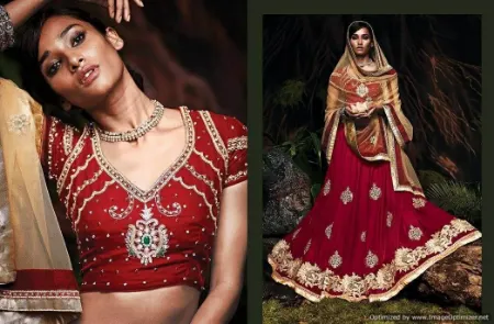 https://radhedesigner.com/images/thumbs/000/0008568_silk-lehenga-pinkchaniya-cholicholilehengabelly-danc_450.webp