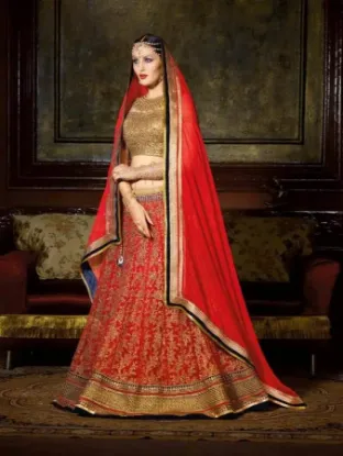 Picture of silk lehenga sareechaniya choli,choli,lehenga,belly dan