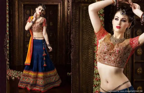 Picture of silk lehenga setchaniya choli,choli,lehenga,belly dance