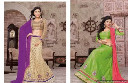 https://radhedesigner.com/images/thumbs/000/0008584_silk-museum-lehengachaniya-cholicholilehengabelly-da_450.webp