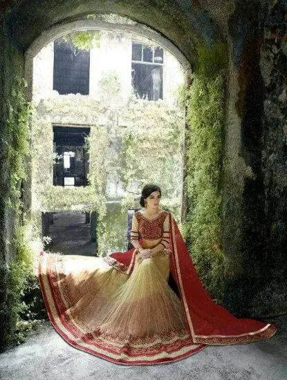 Picture of silk saree lehenga designschaniya choli,choli,lehenga,b