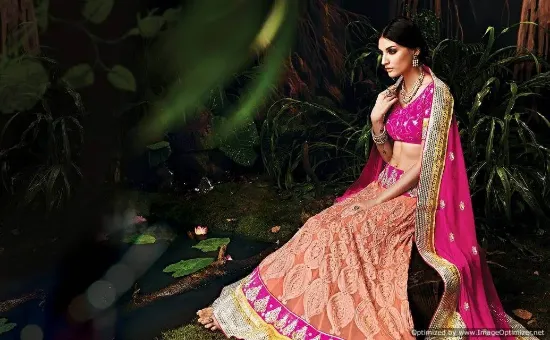 Picture of silk simple lehengachaniya choli,choli,lehenga,belly da