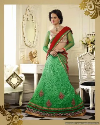 Picture of simple net lehenga pics,lehenga 1000 to 1500chaniya cho