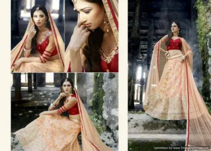 Picture of simple silk lehenga designschaniya choli,choli,lehenga,