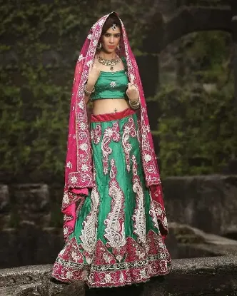 Picture of traditional pakistani bridal lehenga,lehenga choli for 