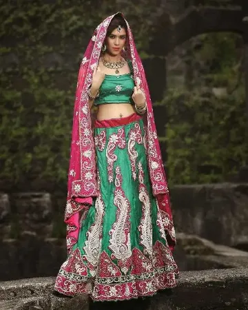 https://radhedesigner.com/images/thumbs/000/0008659_traditional-pakistani-bridal-lehengalehenga-choli-for_450.webp