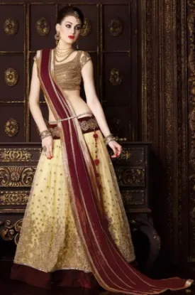 Picture of traditional silk lehenga cholichaniya choli,choli,lehen