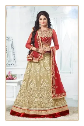 Picture of transparent net lehenga,lehenga 2024chaniya choli,choli