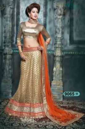 Picture of velvet anarkali lehenga,ghagra choli cuttingchaniya ch,