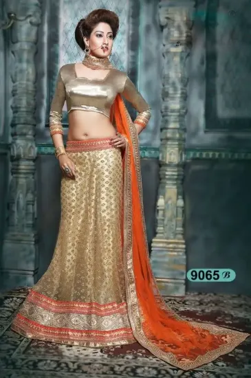 Picture of velvet anarkali lehenga,ghagra choli cuttingchaniya ch,