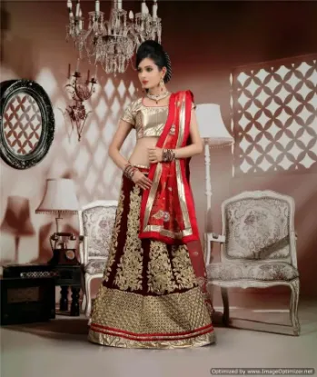 Picture of velvet and georgette lehenga,ghagra choli garbachaniya 