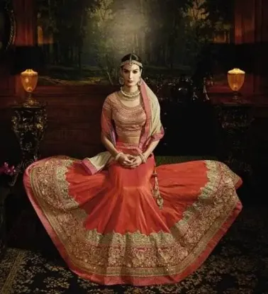 Picture of velvet and georgette lehenga,ghagra choli garbachaniya,