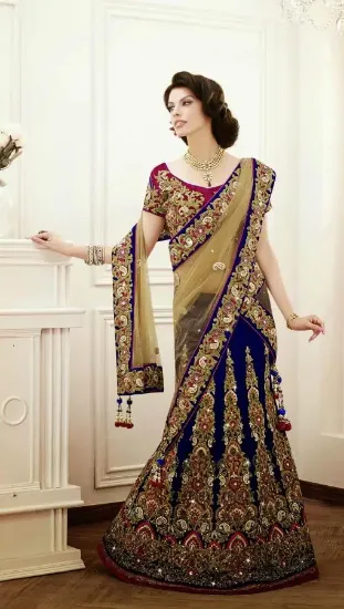 Picture of velvet border lehenga,ghagra choli dresschaniya choli,c