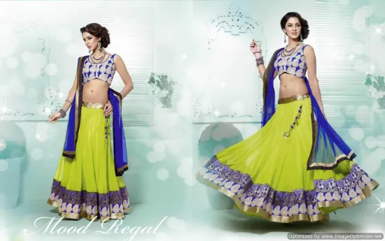 Picture of velvet jacket lehenga,ghagra choli historychaniya choli