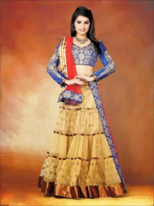 Picture of velvet jacket with lehenga,ghagra choli navratrichaniya