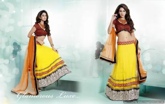 Picture of velvet ka lehnga,ghagra choli how to wearchaniya choli,