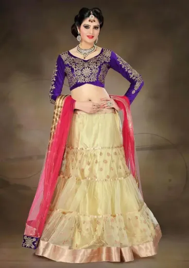 Picture of velvet lehenga 2024,ghagra and cholichaniya choli,choli