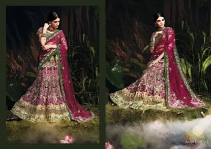 Picture of velvet lehenga blouse back designs,ghagra choli chor k,