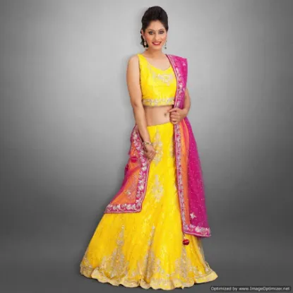 Picture of velvet lehenga blouse designs,ghagra choli bay areachan