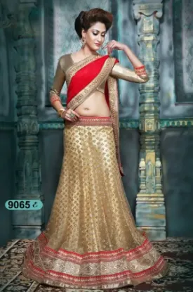 Picture of velvet lehenga by manish malhotra,ghagra choli catalog,