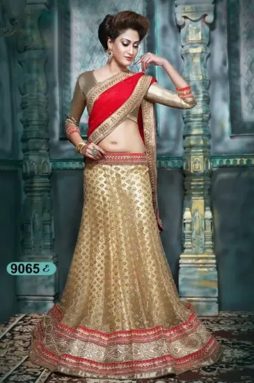 Picture of velvet lehenga by manish malhotra,ghagra choli catalog,