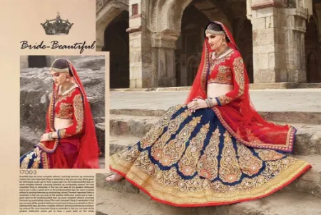 https://radhedesigner.com/images/thumbs/000/0008814_velvet-lehenga-choli-designs-with-beach-dressghagra-ch_450.webp