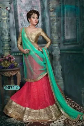 Picture of velvet lehenga collection,ghagra choli dupattachaniya ,