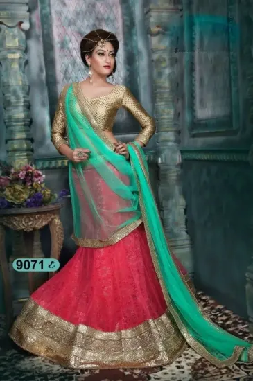 Picture of velvet lehenga collection,ghagra choli dupattachaniya ,