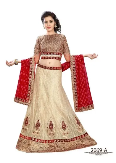 Picture of velvet lehenga dress,ghagra choli imageschaniya choli,,