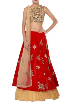 Picture of velvet lehenga in summer,ghagra choli girlchaniya choli