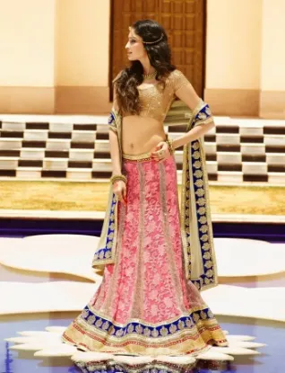 Picture of velvet lehenga long blouse designs,ghagra choli bfchan,