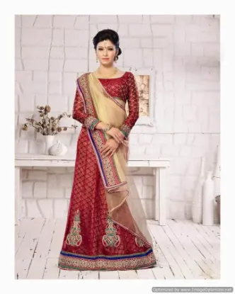 Picture of velvet lehenga on rent,ghagra choli jabongchaniya choli