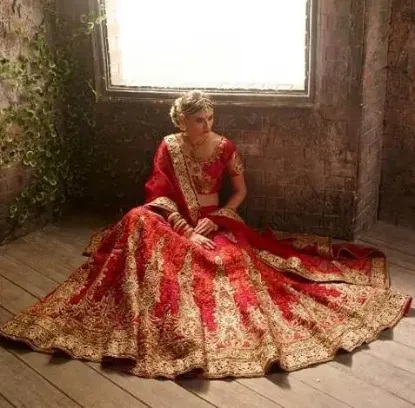 Picture of velvet lehenga online india,ghagra choli hairstylechan,