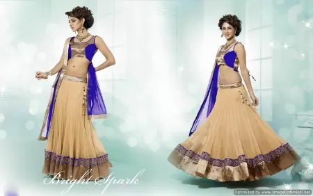 https://radhedesigner.com/images/thumbs/000/0008863_velvet-lehenga-online-indiaghagra-choli-hairstylechani_450.webp