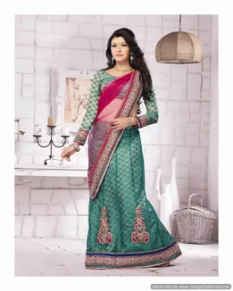 Picture of velvet lehenga online,ghagra choli jewellerychaniya cho