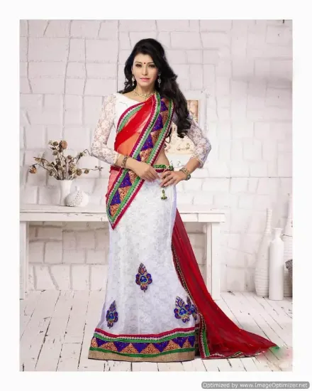 Picture of velvet lehenga pic,jodhpuri ghagra cholichaniya choli,c