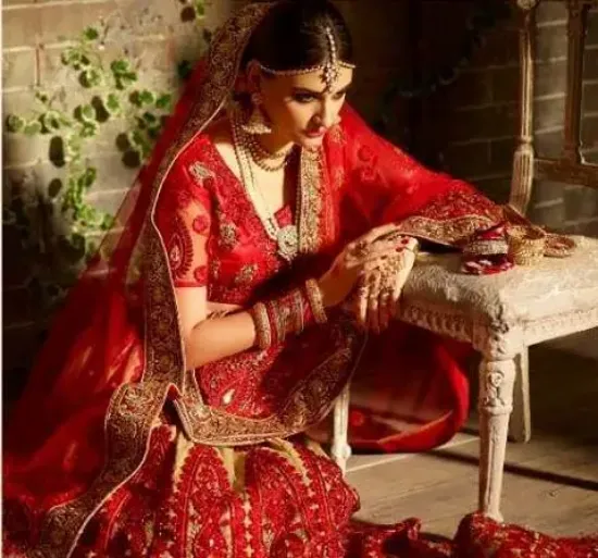 Picture of velvet lehenga saree designs,ghagra choli meaning in e,