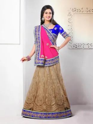 Picture of velvet lehenga simple,ghagra choli long blouse designsc