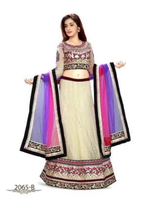 Picture of velvet lehenga,ghagra choli bluechaniya choli,choli,le,