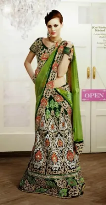 Picture of velvet lehenga,ghagra choli bluechaniya choli,choli,leh