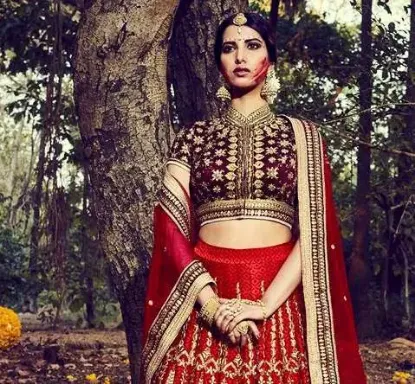 Picture of velvet net lehenga,ghagra choli ideaschaniya choli,cho,