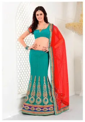 Picture of velvet net lehenga,ghagra choli ideaschaniya choli,chol