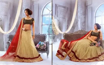 Picture of velvet top lehenga,ghagra choli meaningchaniya choli,ch