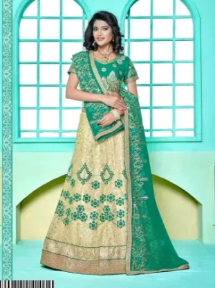 Picture of wedding lehenga in net indian boyywood pakistani design