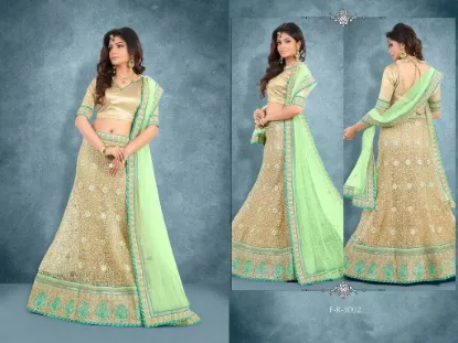 Picture of wedding lehenga with heavy embroidered bollywood india,