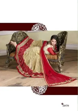 https://radhedesigner.com/images/thumbs/000/0008999_wedding-party-bridal-lehenga-choli-women-pakistani-ind_450.webp