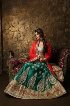 https://radhedesigner.com/images/thumbs/000/0009014_wedding-party-wear-pakistani-lehenga-sari-indian-bolly_450.webp