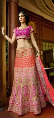 Picture of wedding traditional bollywood partywear designer choli,