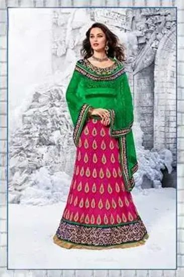 Picture of women bollywood saree ethnic special indian eid design,